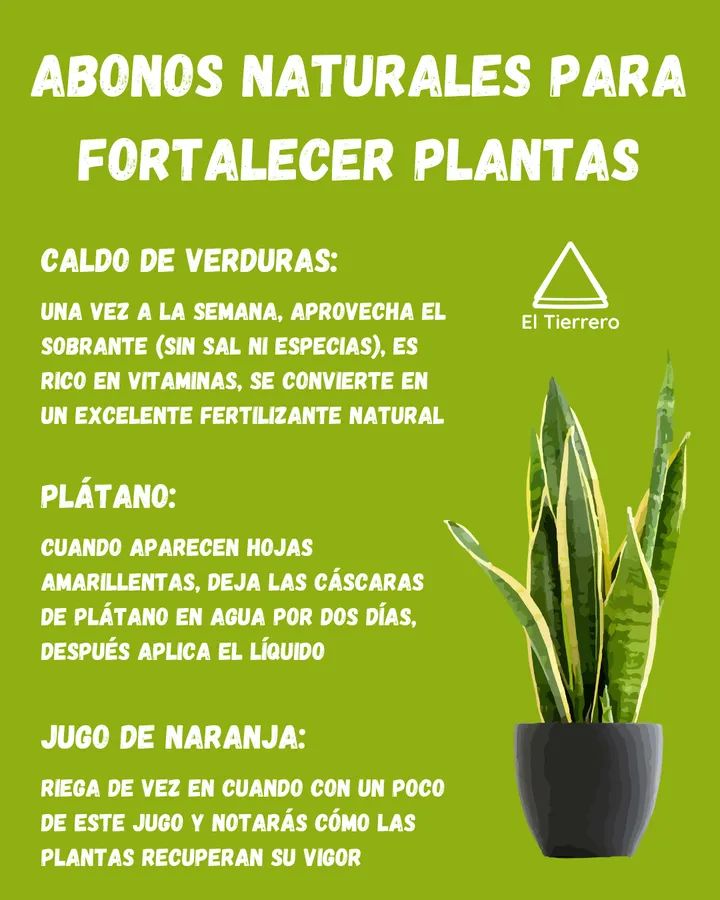 abonos