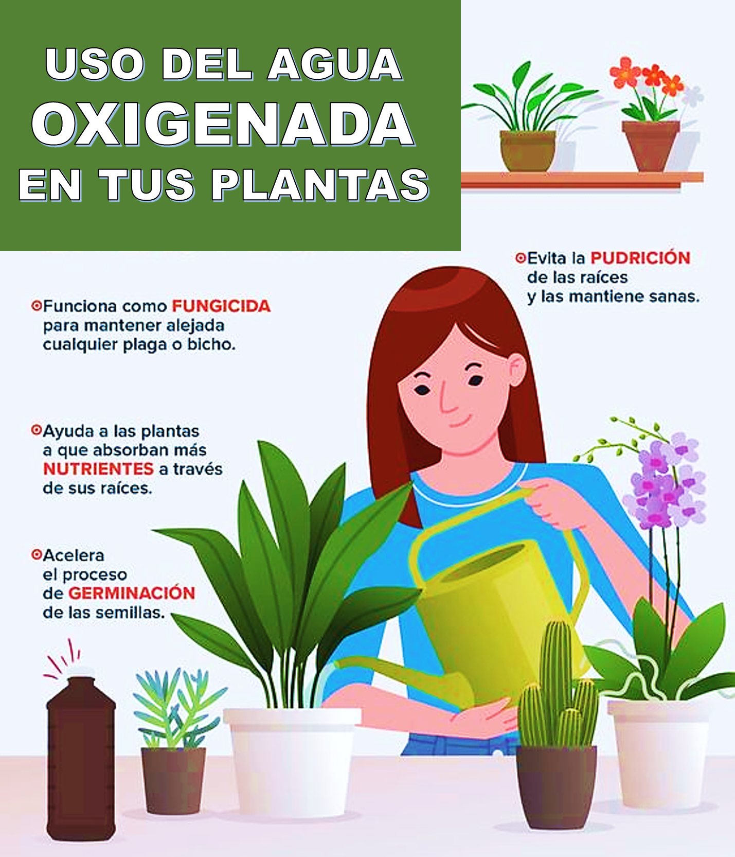 agua, oxigenada