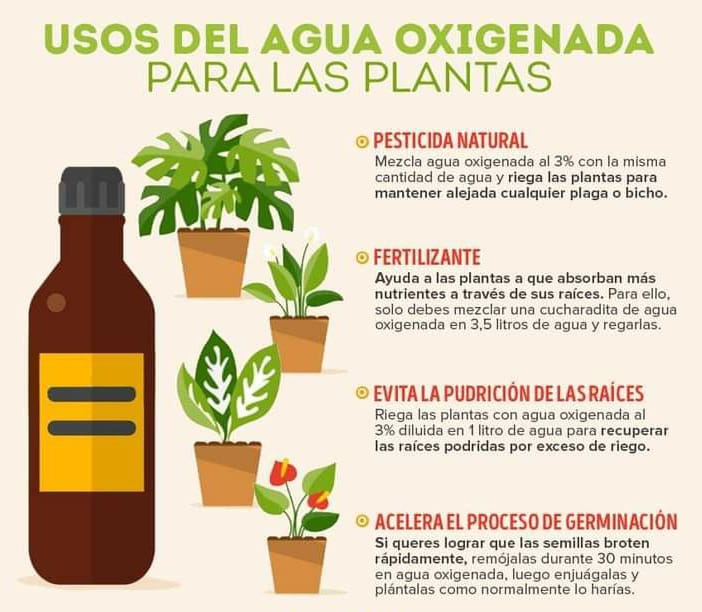 agua, oxigenada
