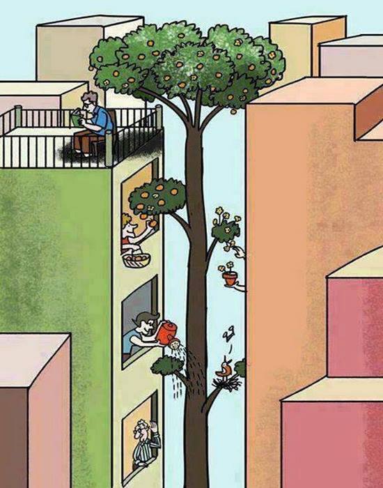 arbol, frutal