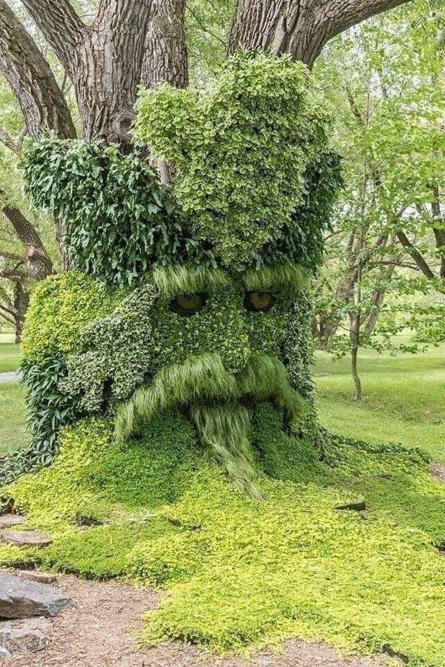 arbol, verde