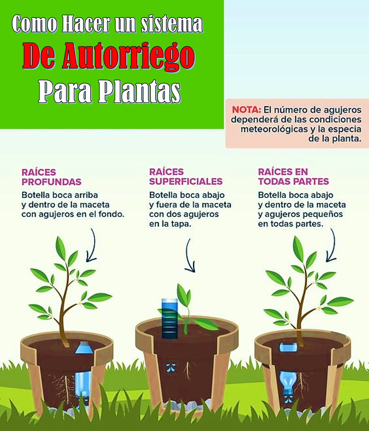autorriego, raices