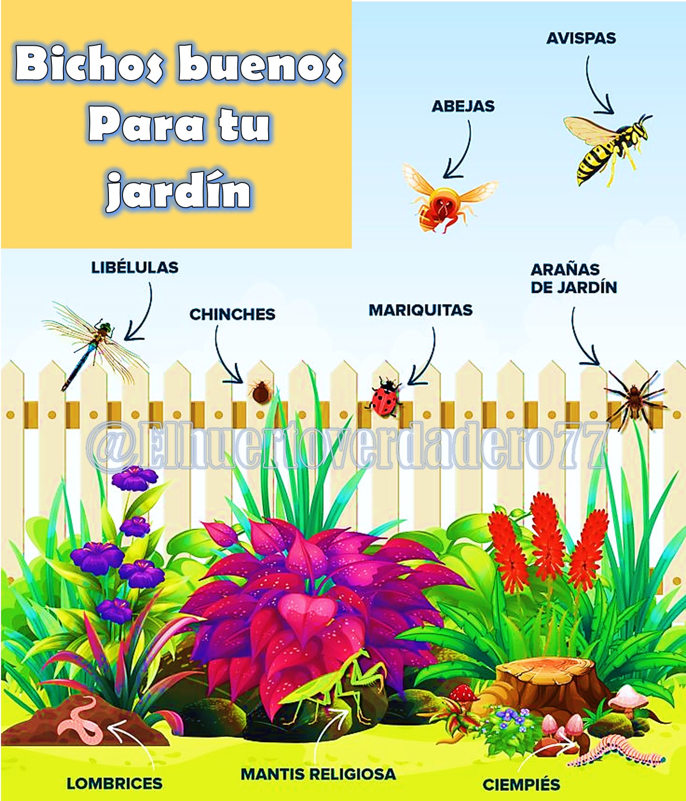 bichos, buenos