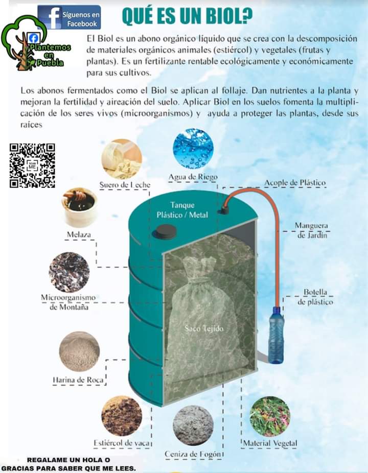 biol
