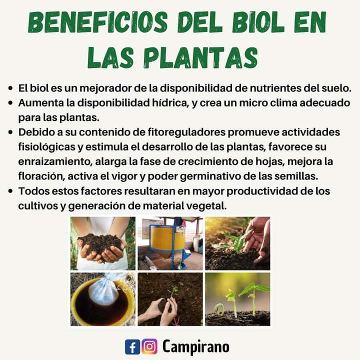 biol