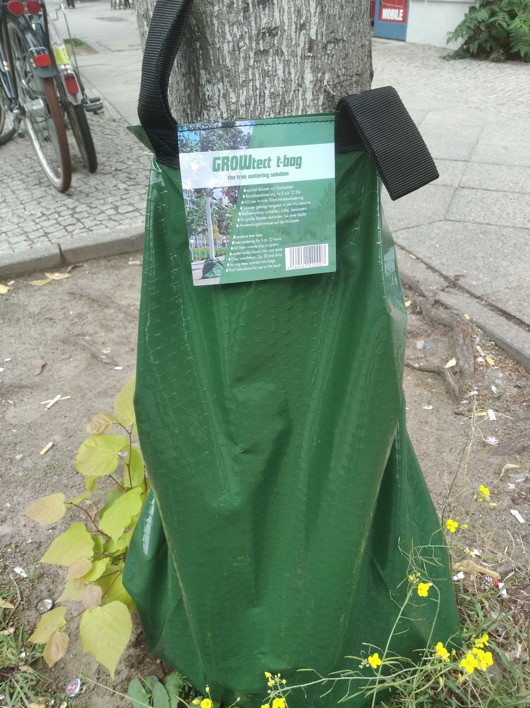 bolsa, arbol
