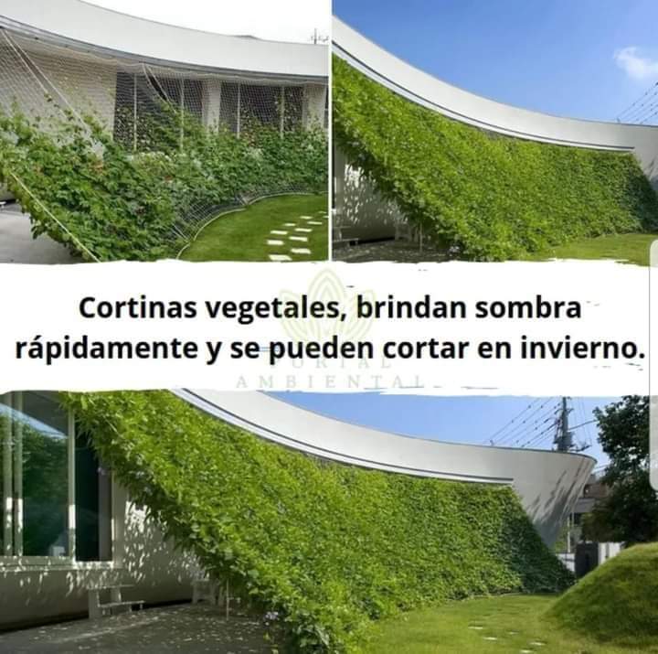 cortinas