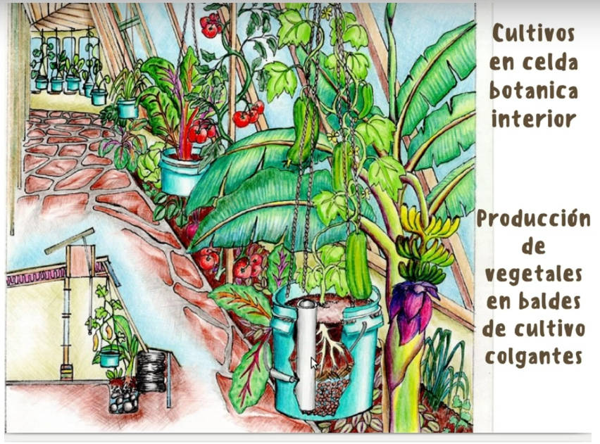cultivo, baldes
