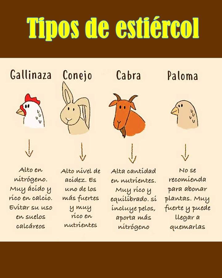 estiercol, tipos