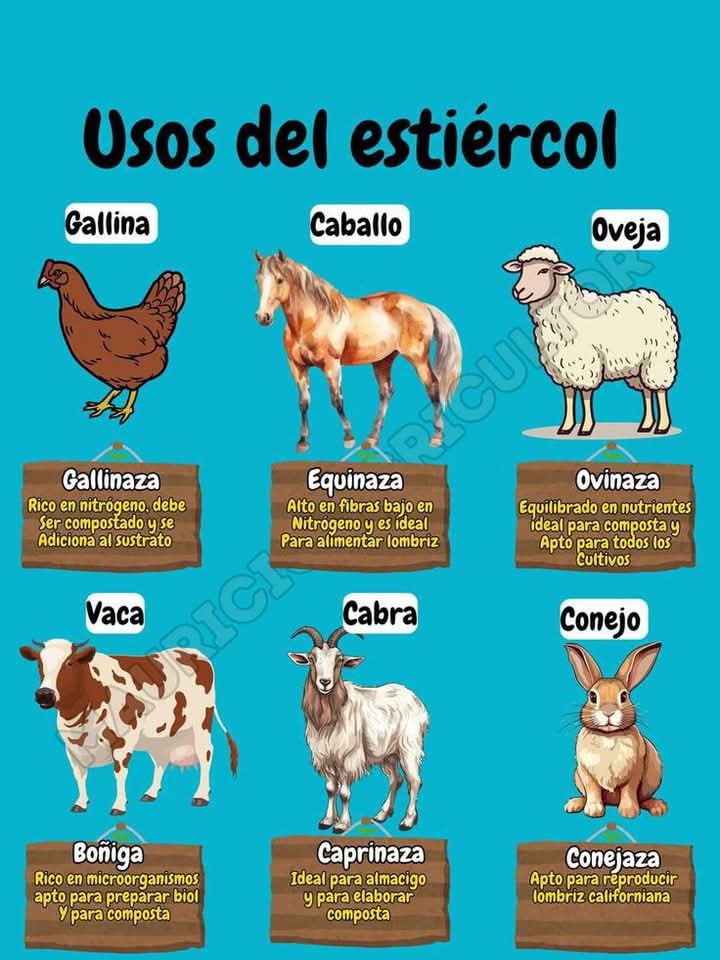 estiercol, usos