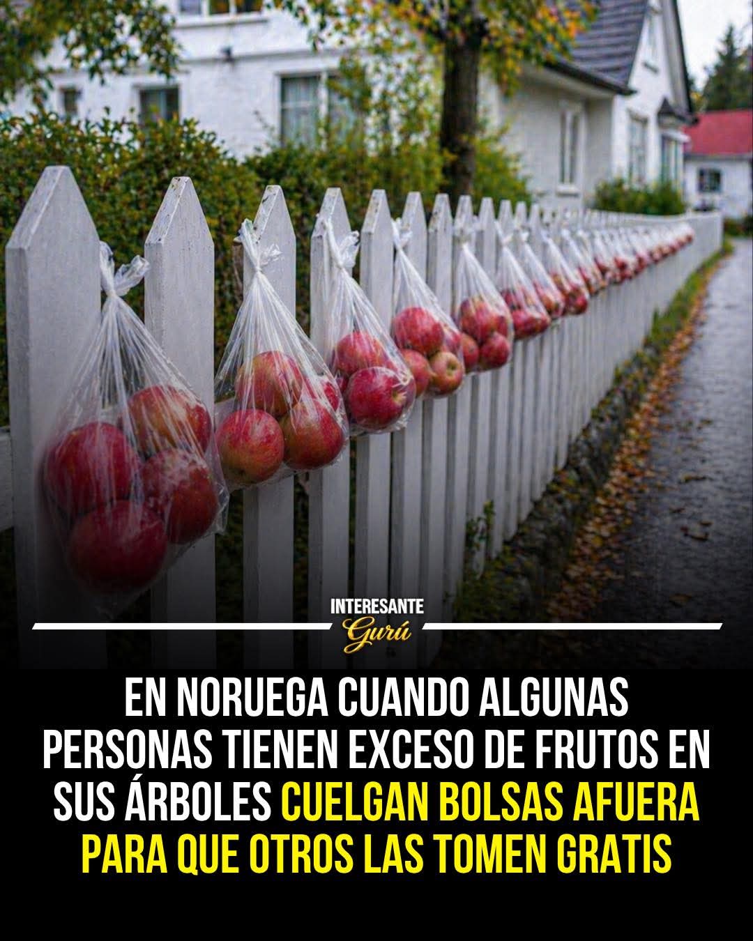exceso, frutos