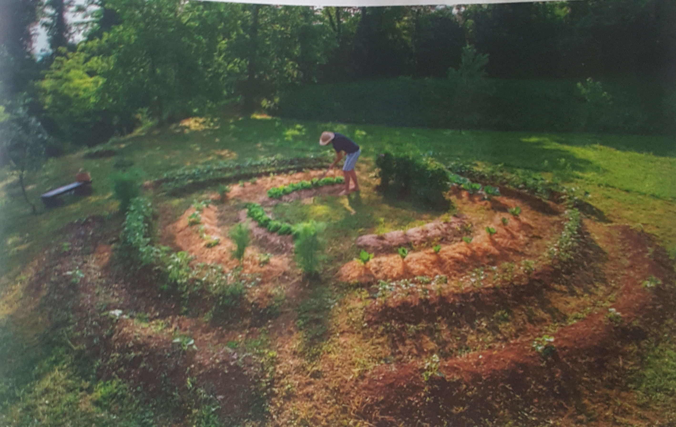 huerta, circular