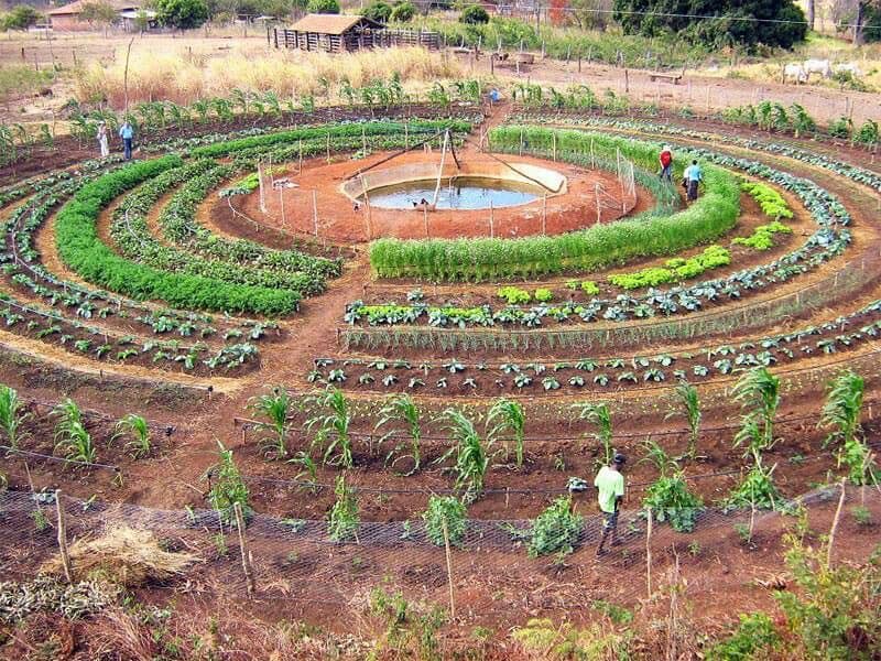 huerto, circular