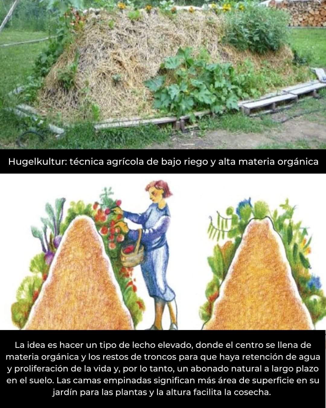 hugelkultur