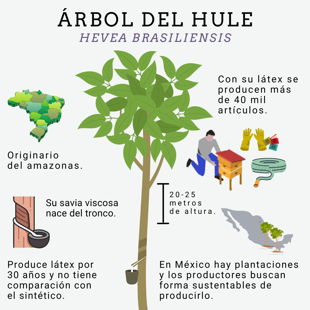 hule