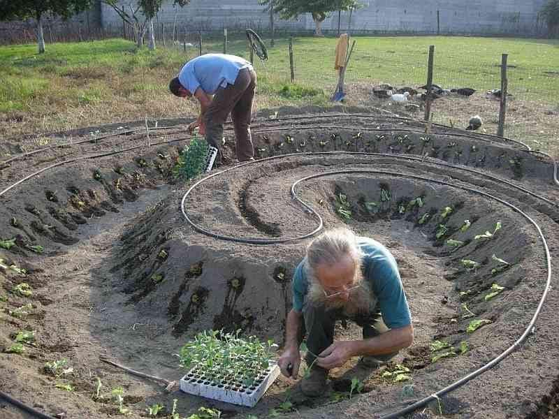 jardin, espiral