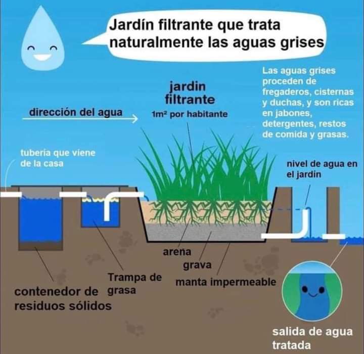 jardin, filtrante