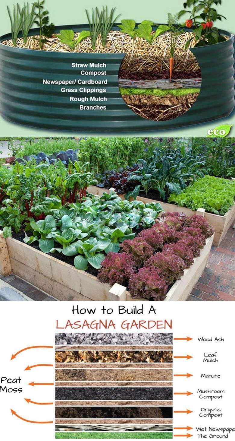jardin, lasana