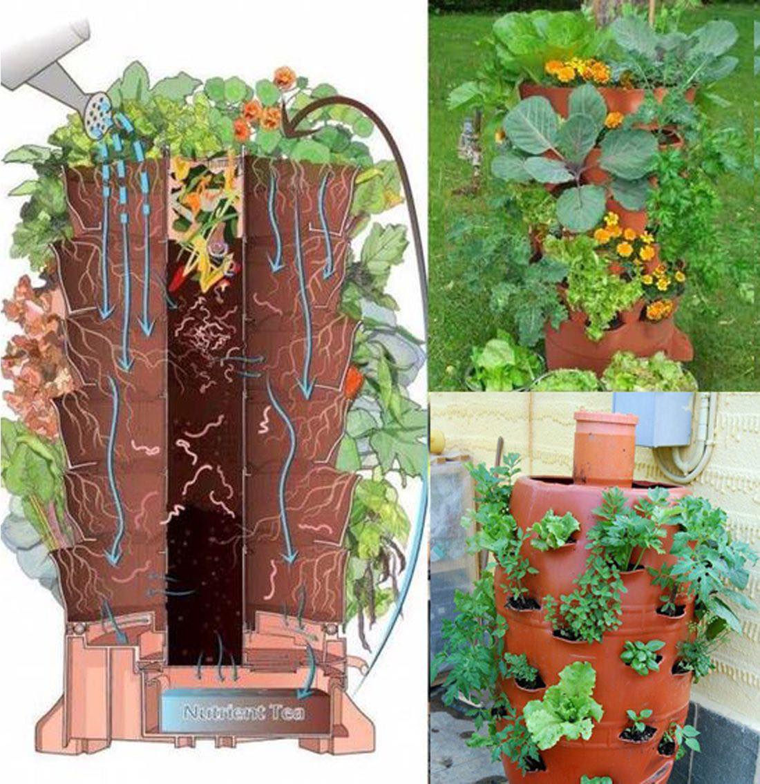 jardin, torre