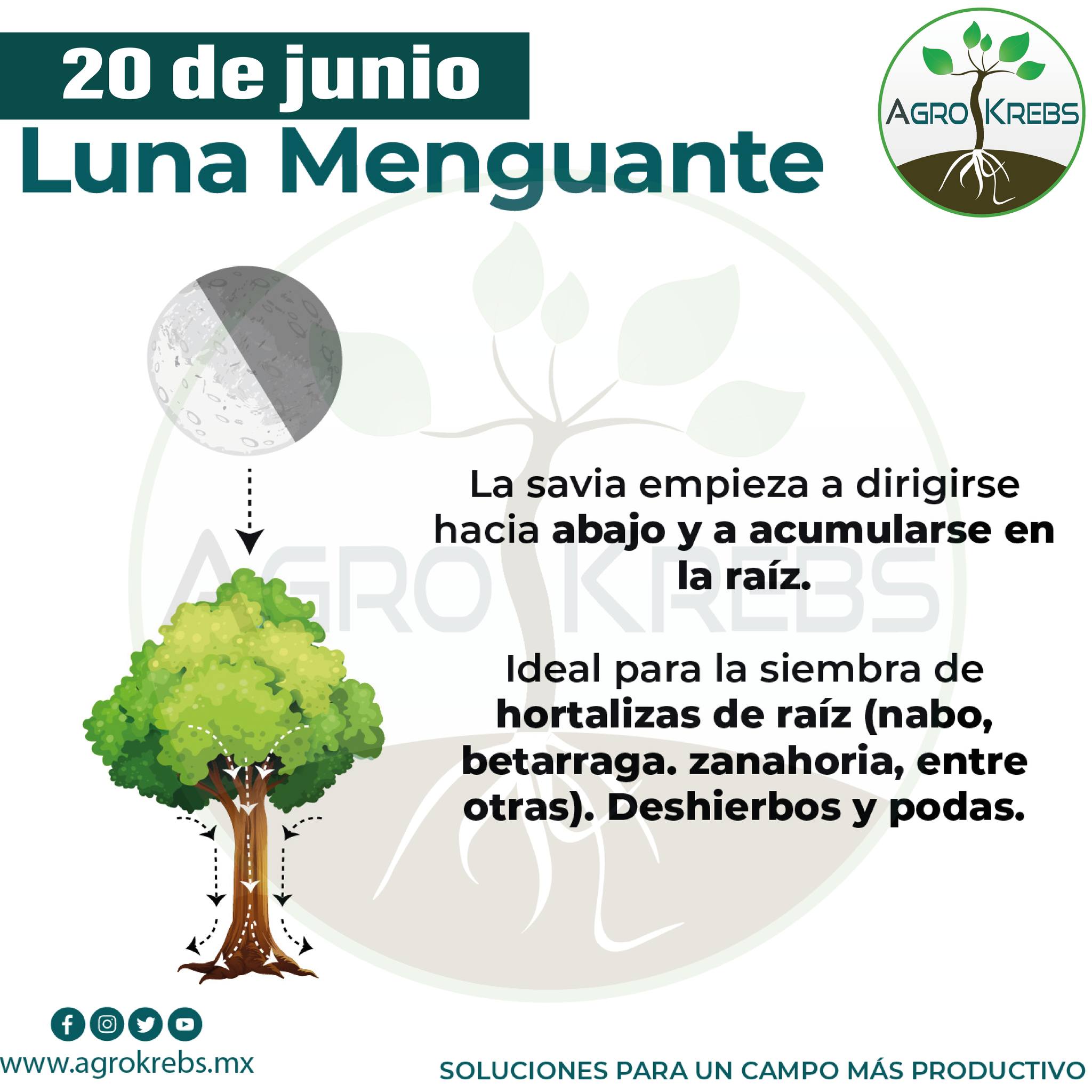luna, menguante