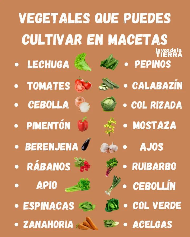 maceta, vegetales
