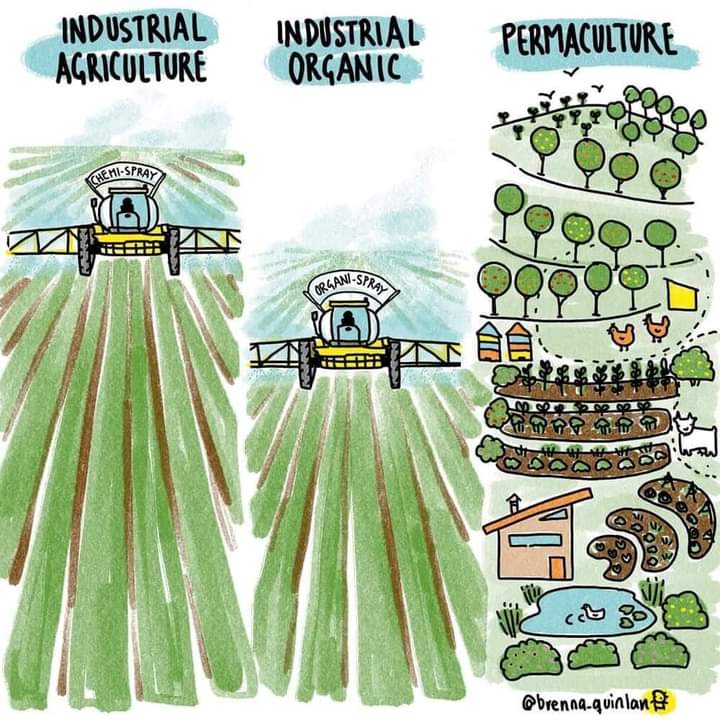 permacultura