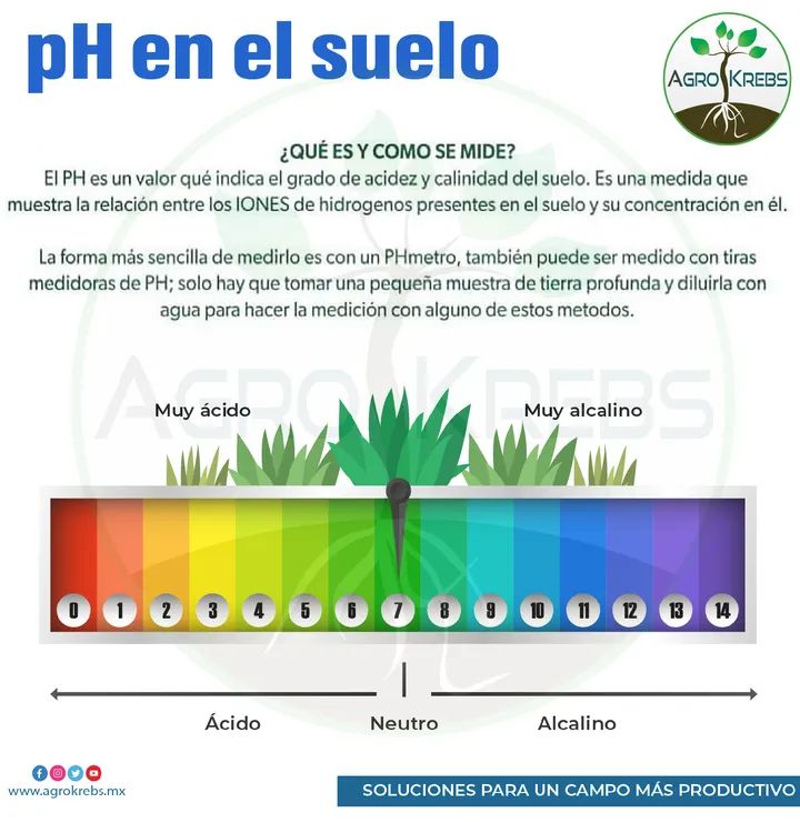 ph