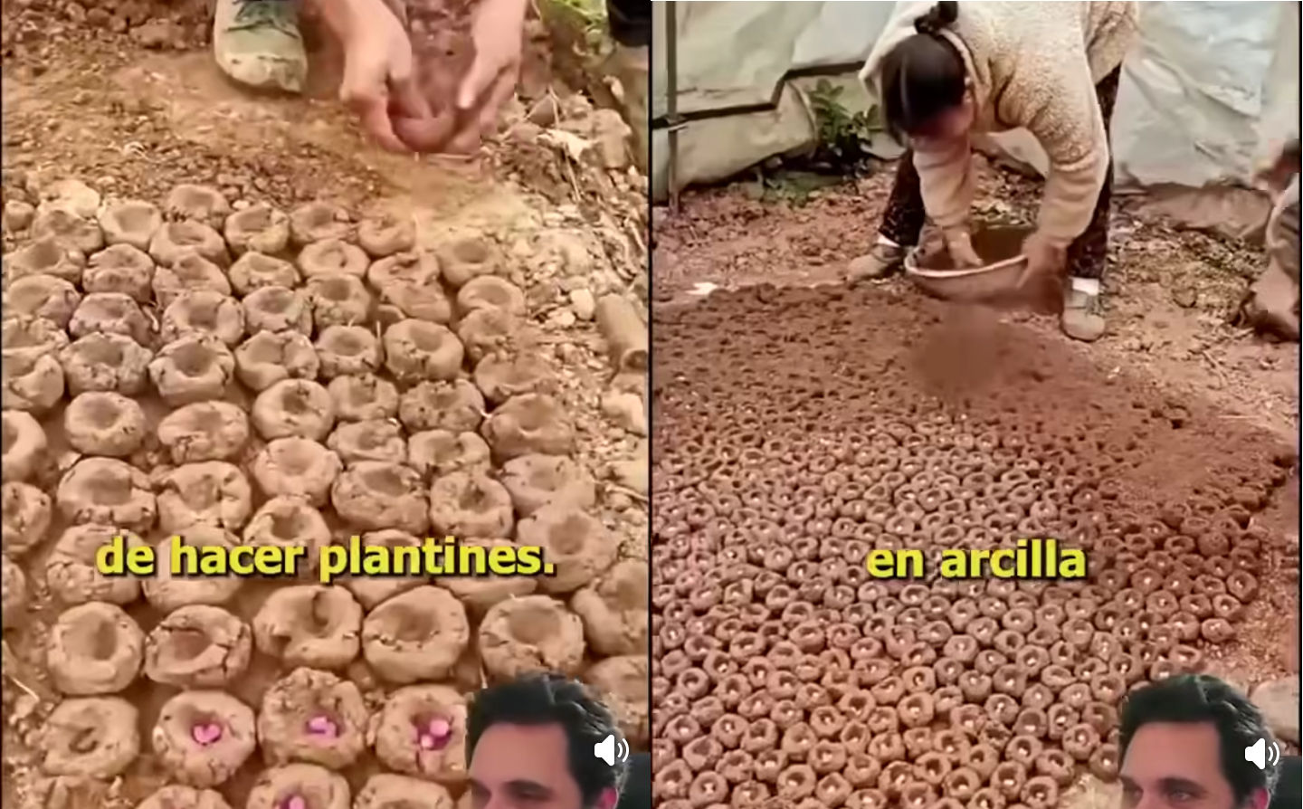 plantines, arcilla
