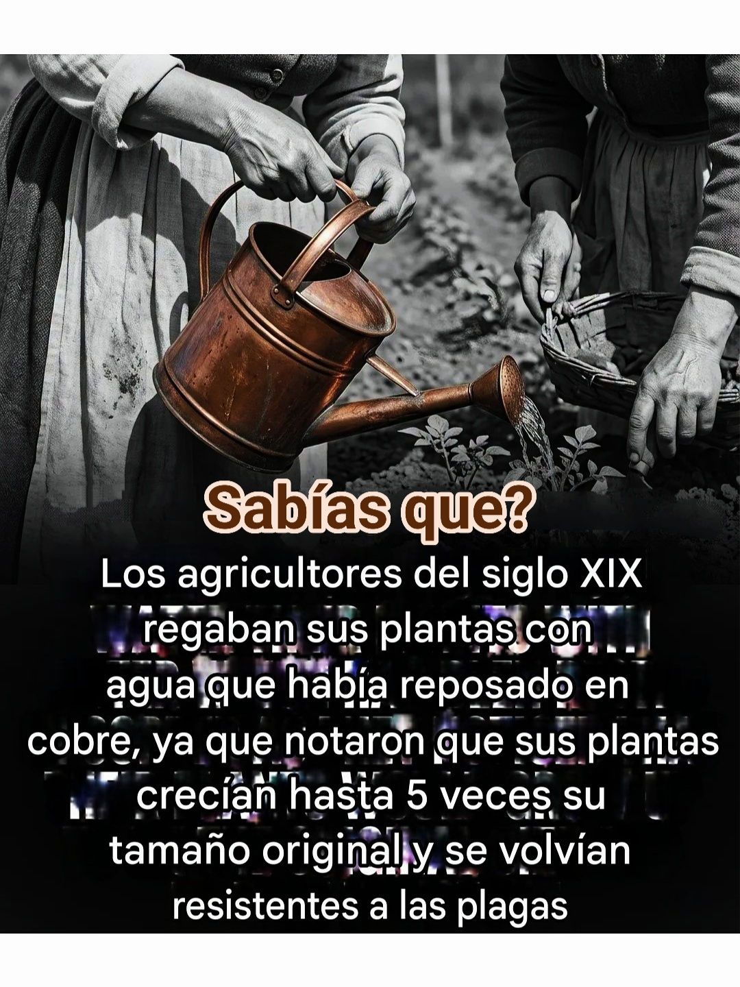 riego, cobre