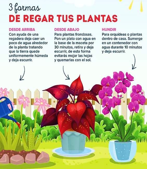 riego, formas