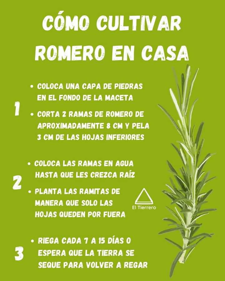 romero