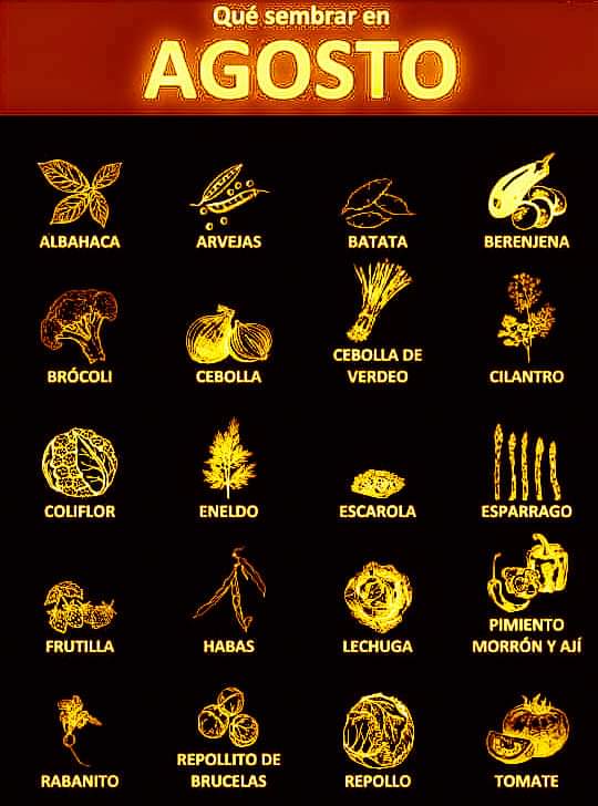 sembrar, agosto