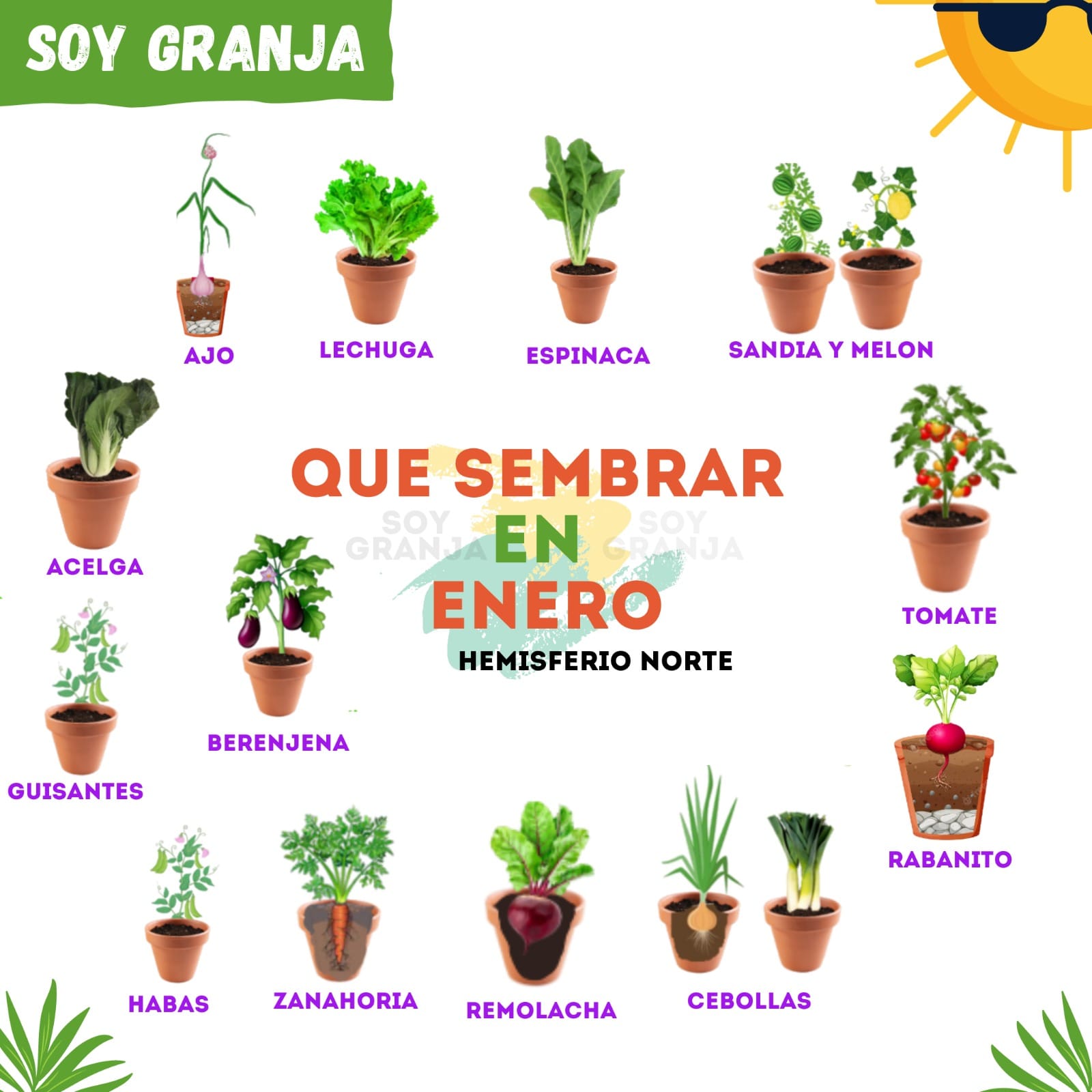 sembrar, enero