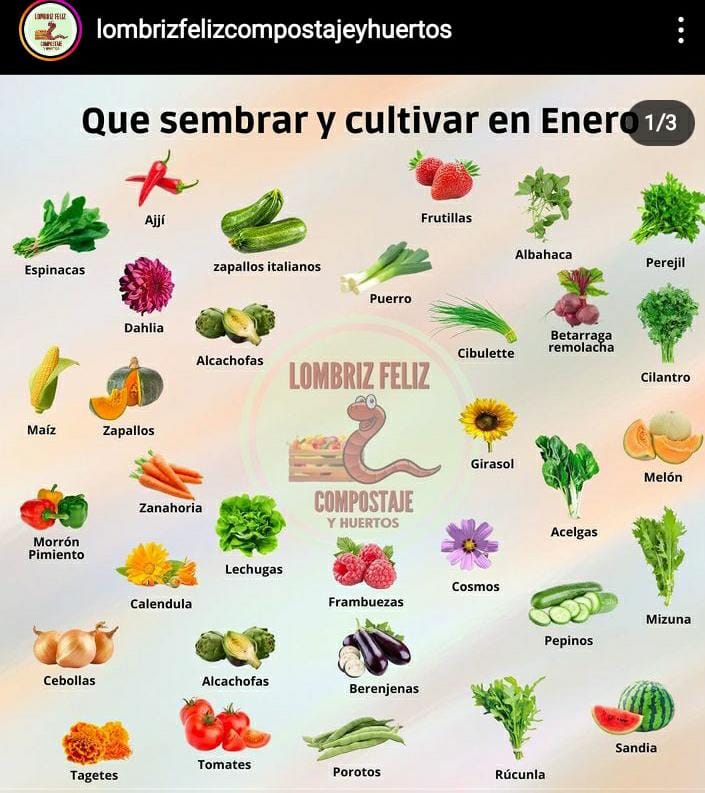 sembrar, enero