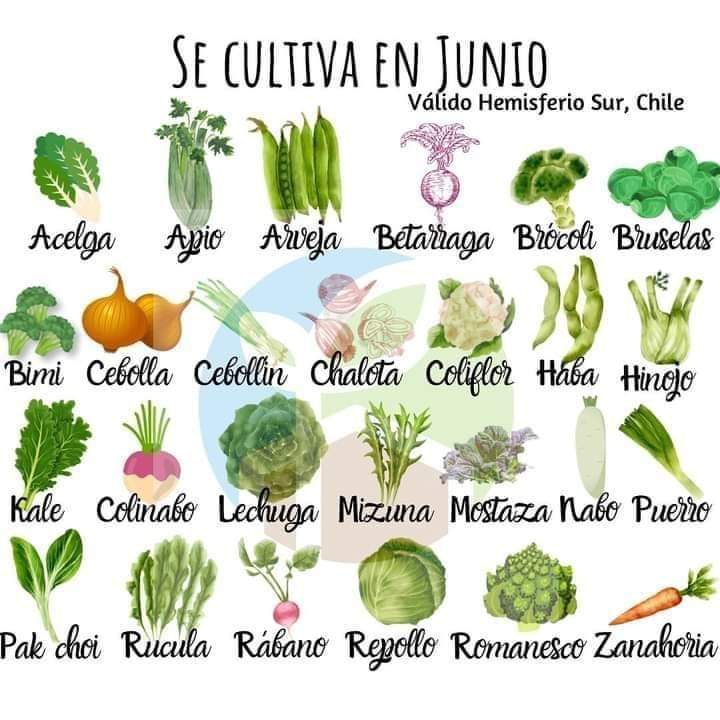 sembrar, junio