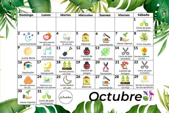 sembrar, octubre