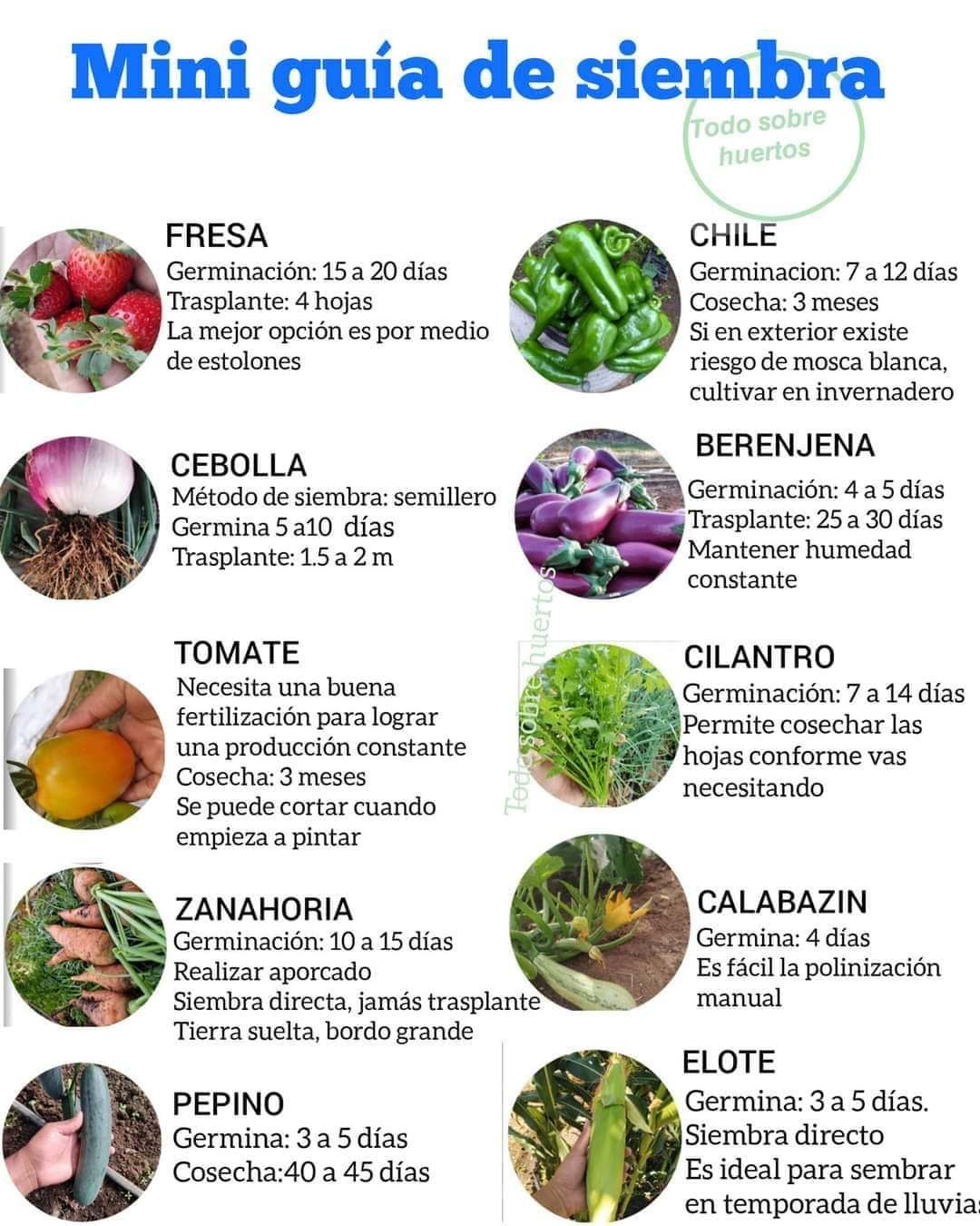siembra, guia