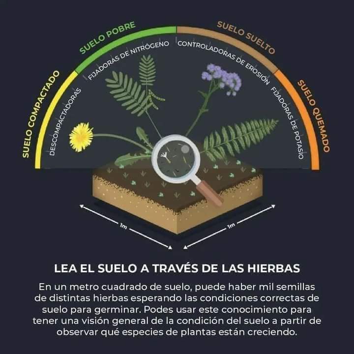 suelo