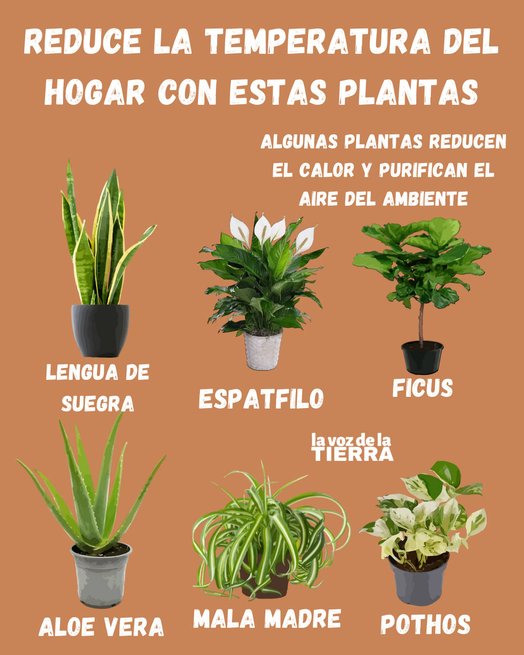 temperatura, reduccion