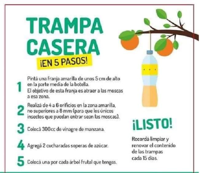 trampa