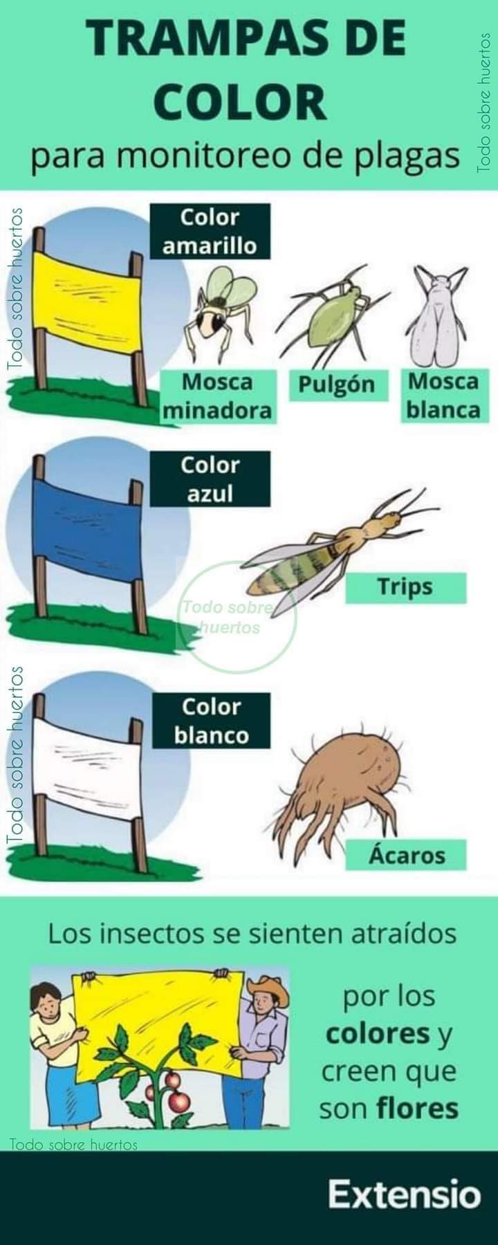 trampas