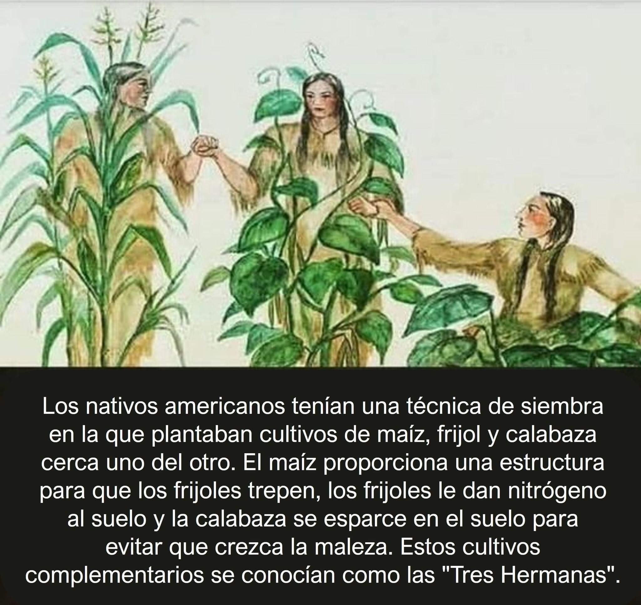 tres, hermanas