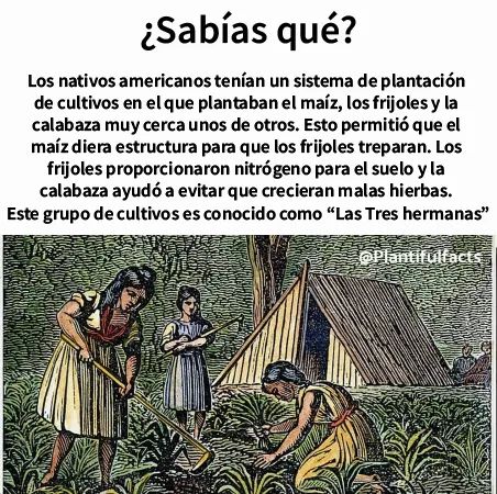 tres, hermanas