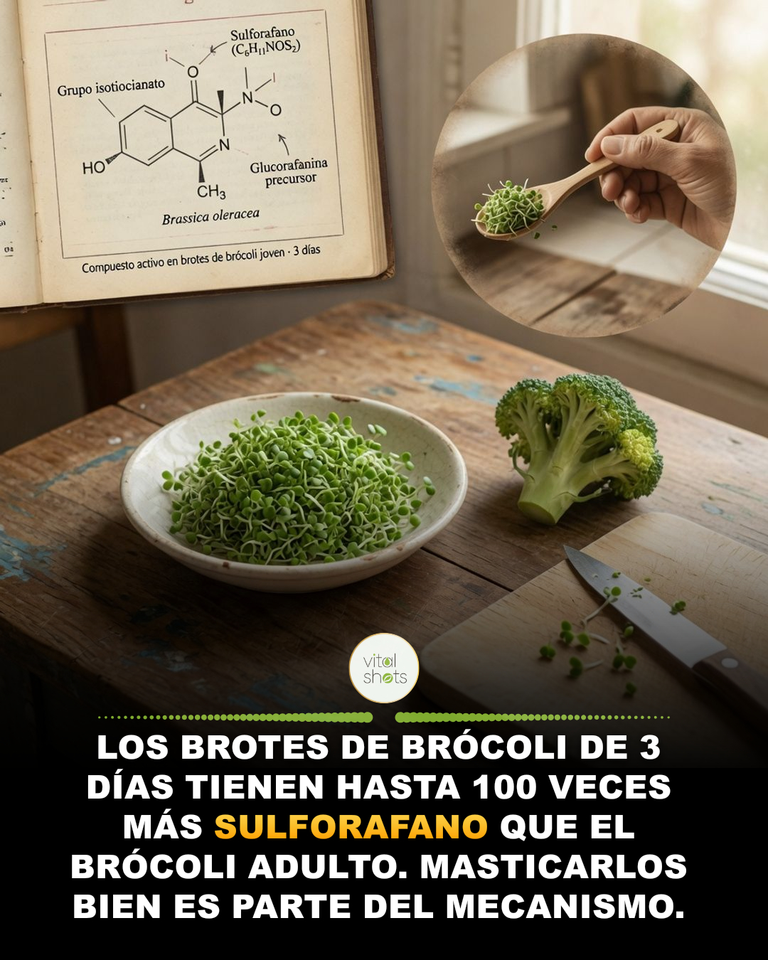 brotes, brocoli, sulforano