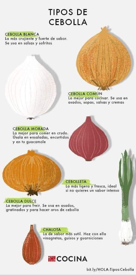 cebolla, tipos