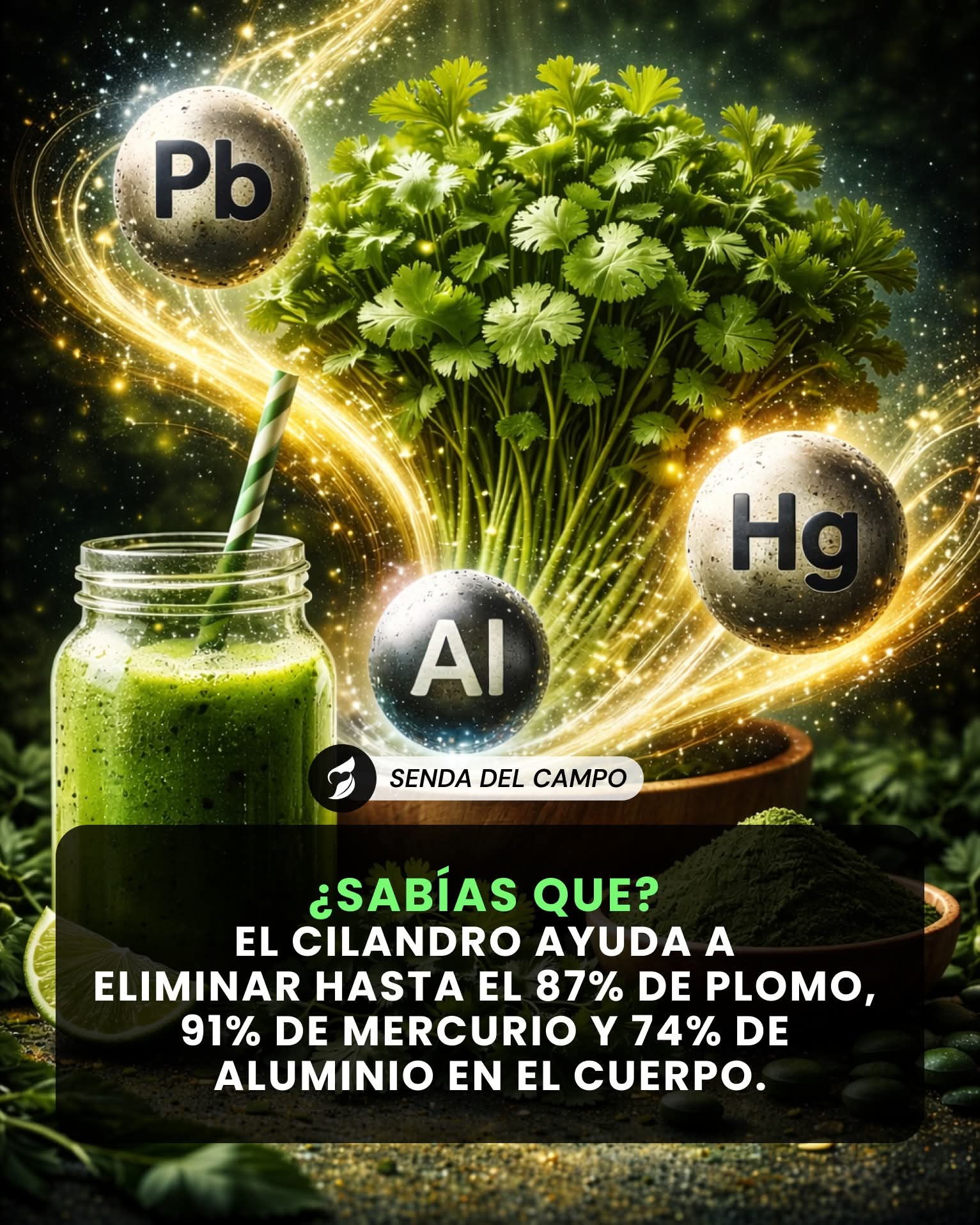 cilandro