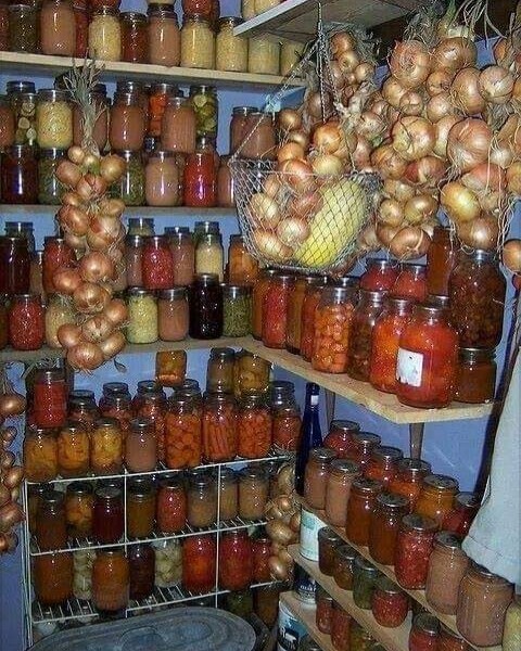 conservacion, alimentos