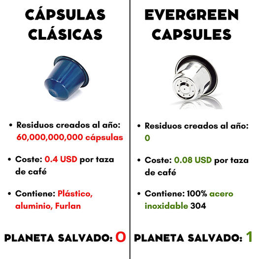evergreen