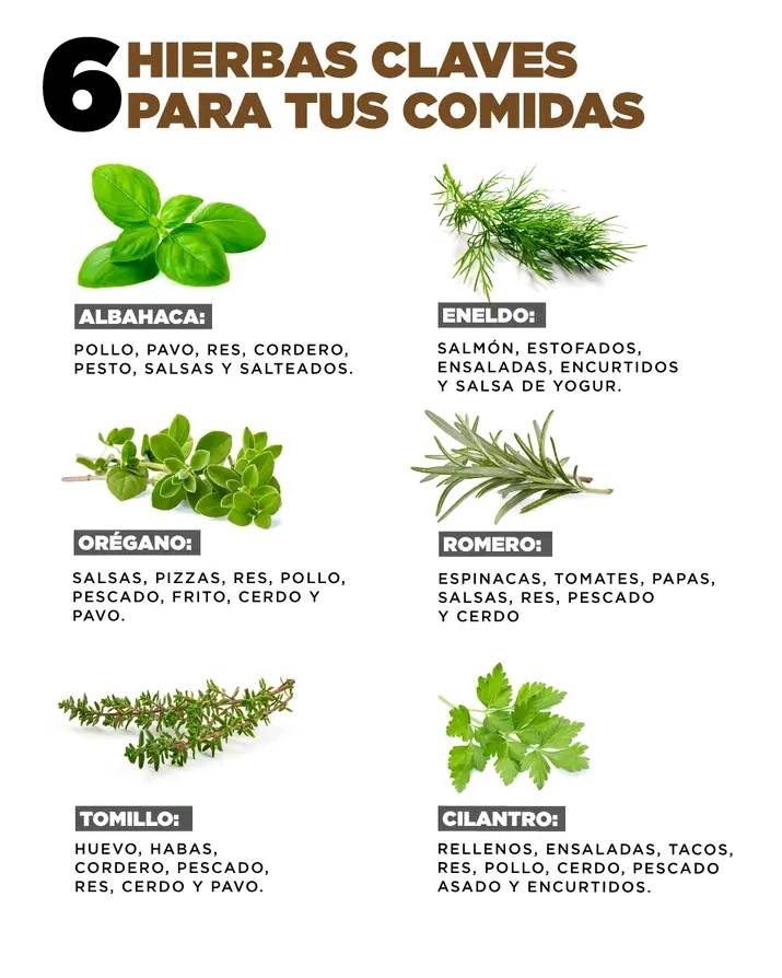 hierbas, comida