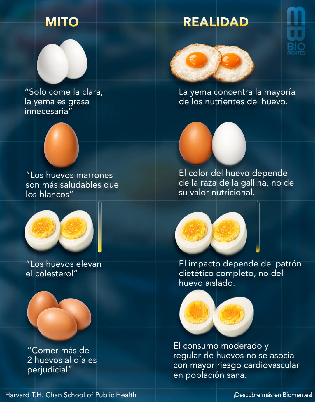 huevo